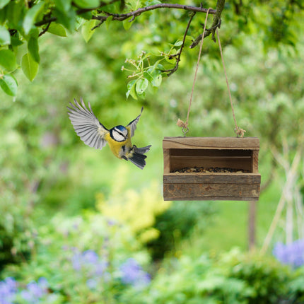 Mangeoire à oiseaux suspendue