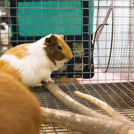 Sac à foin pour petits animaux