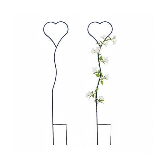 Ensemble de treillis en forme de cœur pour plantes grimpantes