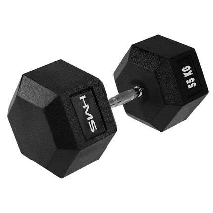 Haltère hexagonale 55 kg - Entraînement de musculation durable et polyvalent