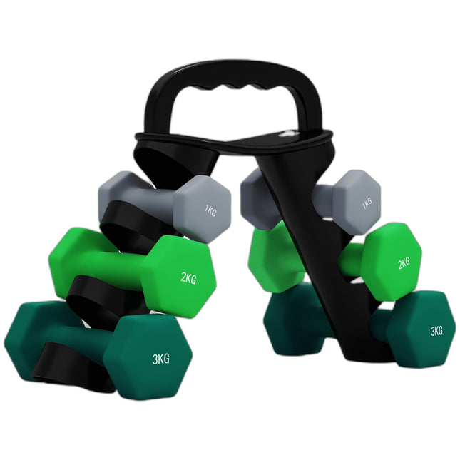 Ensemble d'haltères hexagonales avec support - Paires de 1 kg, 2 kg et 3 kg