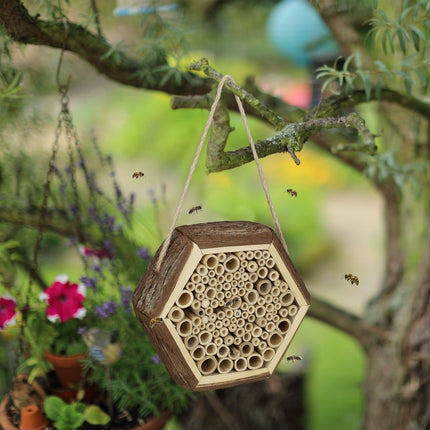 Hôtel à insectes hexagonal pour abeilles