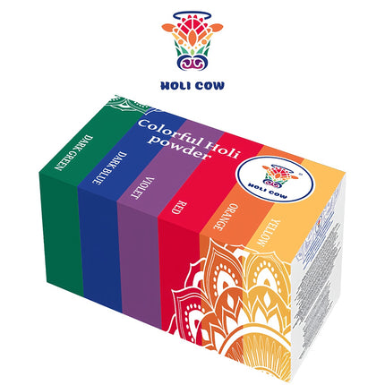 Poudre de couleur Holi - Lot de 6x100g