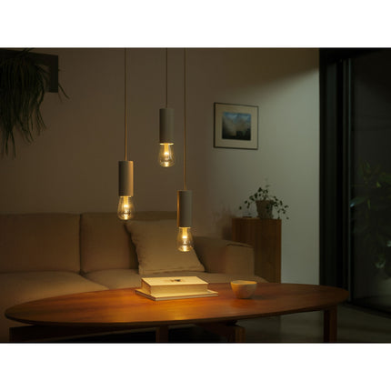Hue Lightguide Edison ST72 E27 Weiß und Farbambiente