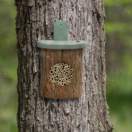 Hôtel à insectes pour abeilles
