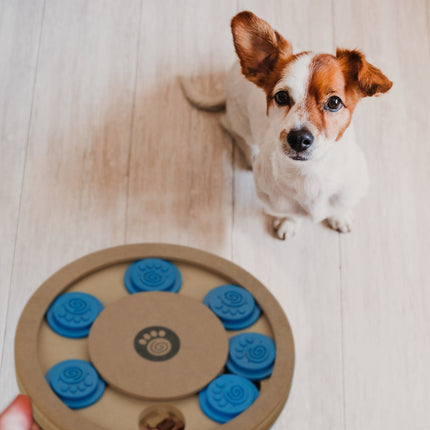 Jouets intelligents pour chiens