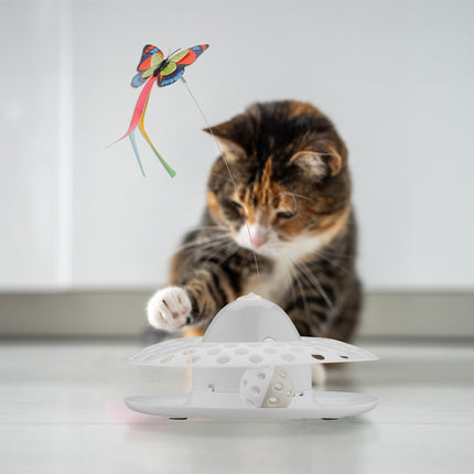 Jouet interactif pour chat avec piste à billes et papillon rotatif
