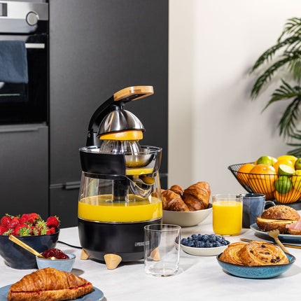 Entsafter Luxuriöses eigenes Design 300W