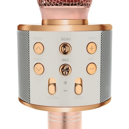 Microphone karaoké - rose clair Izoxis 22190