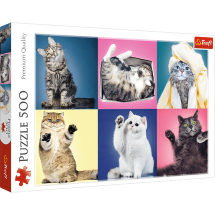 Puzzle Chatons 500 pièces pour enfants et adultes