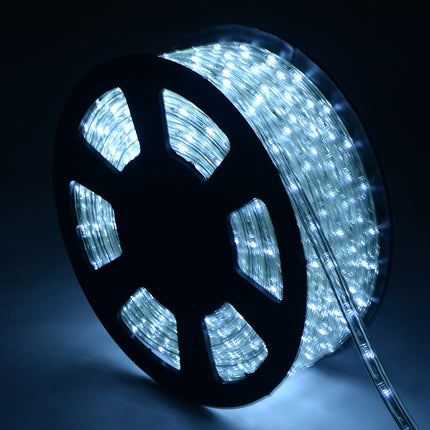 Guirlande lumineuse LED 10 m, blanc froid, 360 LED, 220 V
