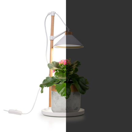 LED-Wachstumslicht