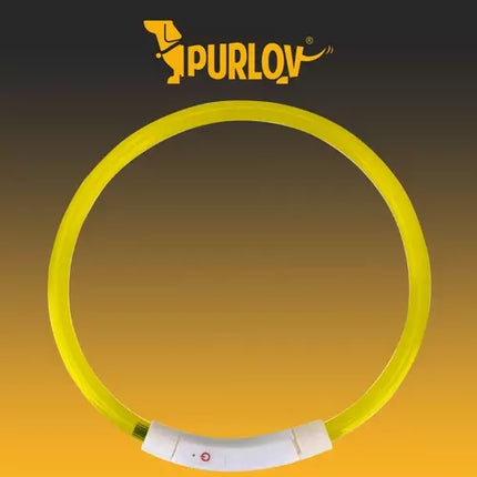 LED-leuchtendes Halsband Purlov 21631