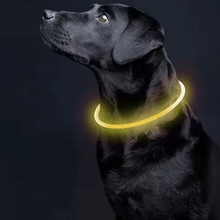LED-leuchtendes Halsband Purlov 21631