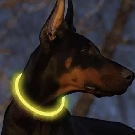 LED-leuchtendes Halsband Purlov 21631