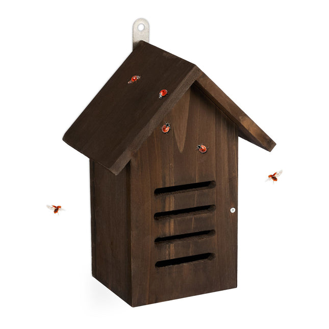 Maison de coccinelle en bois marron