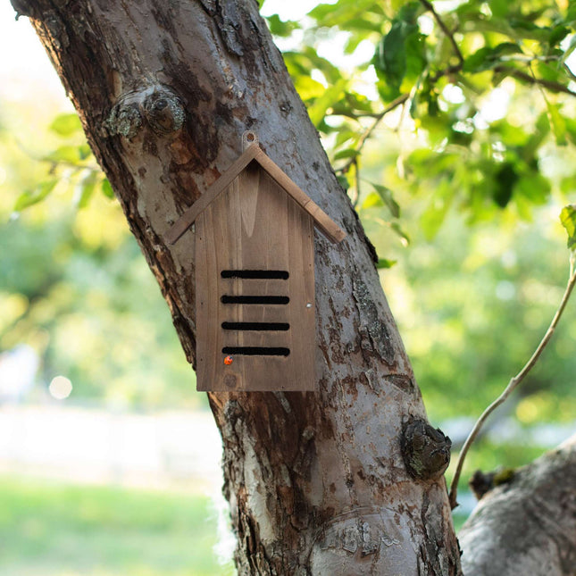 Maison de coccinelle en bois marron
