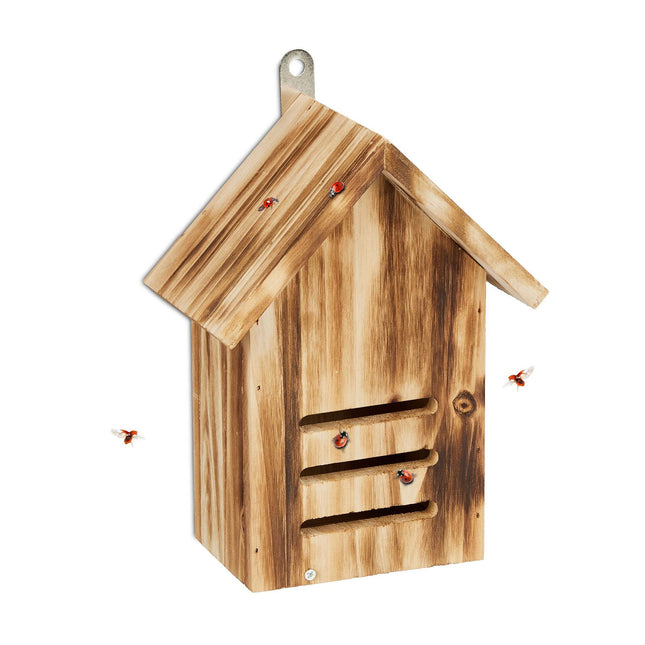 Maison de coccinelle en épicéa flammé