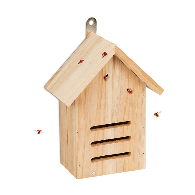 Maison de coccinelle en épicéa