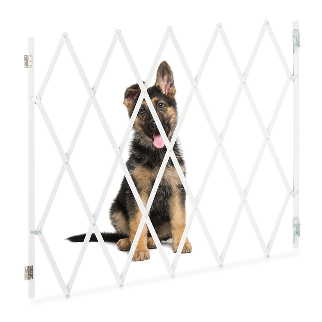 Grande barrière pour chien en bambou naturel