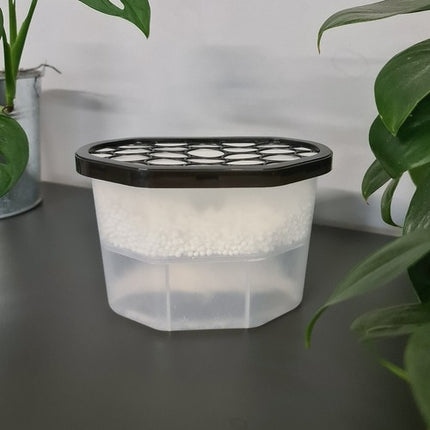 Absorbeur d'humidité lavande - 2x500ml Ruhhy 22137