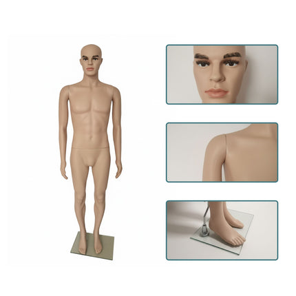 Mannequin homme avec support - Bras articulés, socle en verre