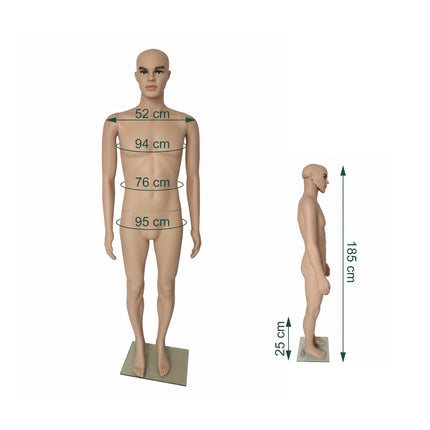 Mannequin homme avec support - Bras articulés, socle en verre