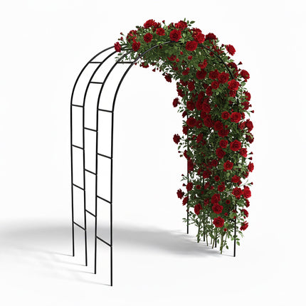 Arche de jardin en métal pour plantes grimpantes, modèle à triple arche