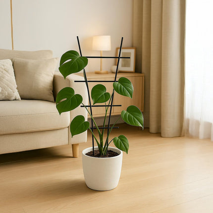 Ensemble de treillis métalliques pour plantes grimpantes - Supports d'escalade durables