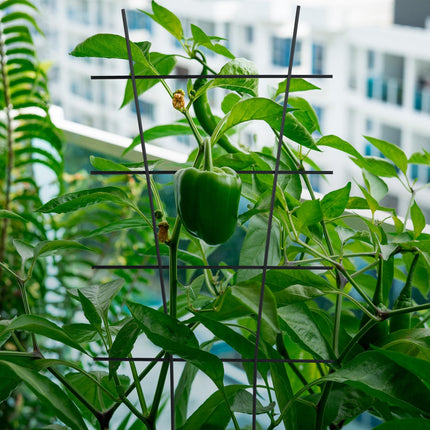 Ensemble de treillis métalliques pour plantes grimpantes - Supports d'escalade durables