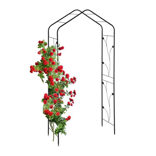Metal Rose Arch in Black