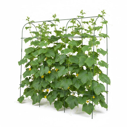 Treillis métallique pour plantes grimpantes - Grand, résistant aux intempéries