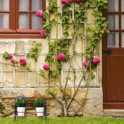 Mini banc à fleurs