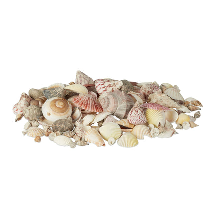 Muschel- und Schneckenmix 1 kg