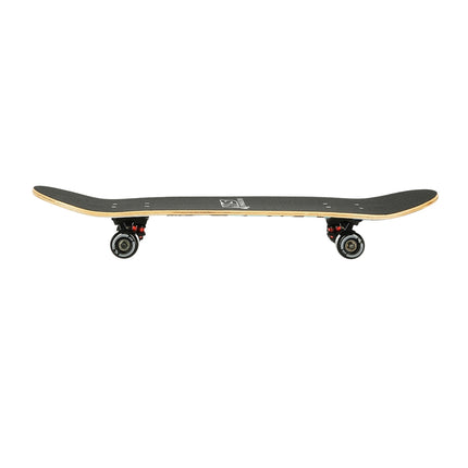 Skateboard de montagne, tout-terrain, plateau durable