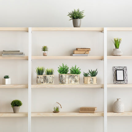 Länglicher Blumentopf Birke 3er Set