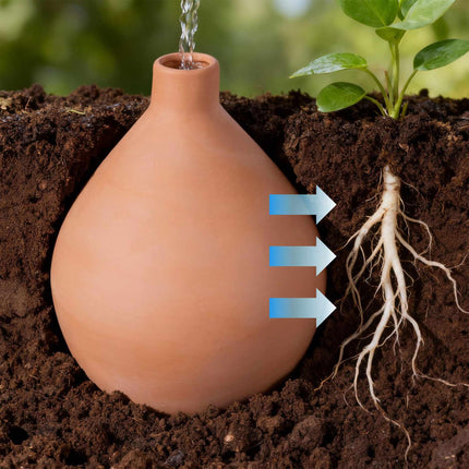 Pot d'irrigation Olla, 3 L, en argile poreuse, économe en eau