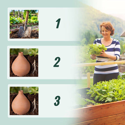 Pot d'irrigation Olla, 3 L, en argile poreuse, économe en eau