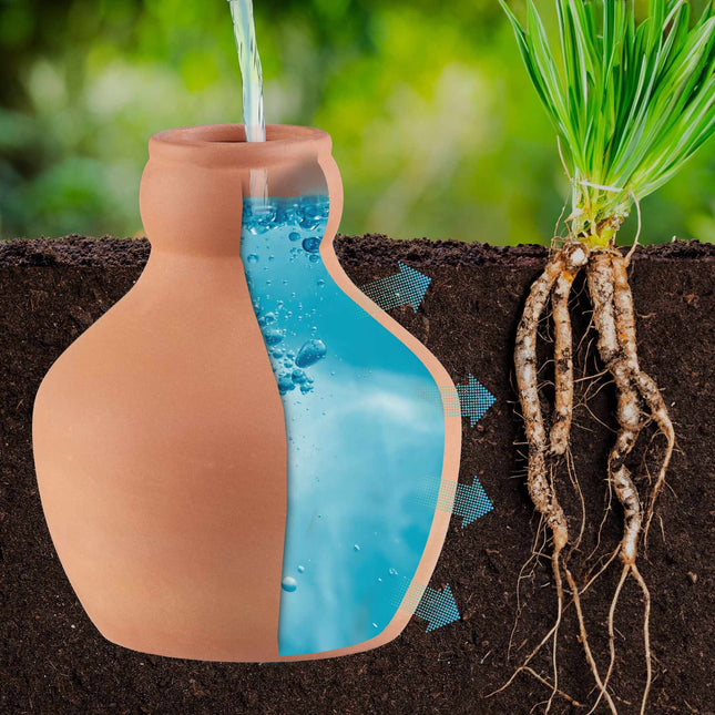 Ollas pour l'irrigation 550 ml, lot de 3