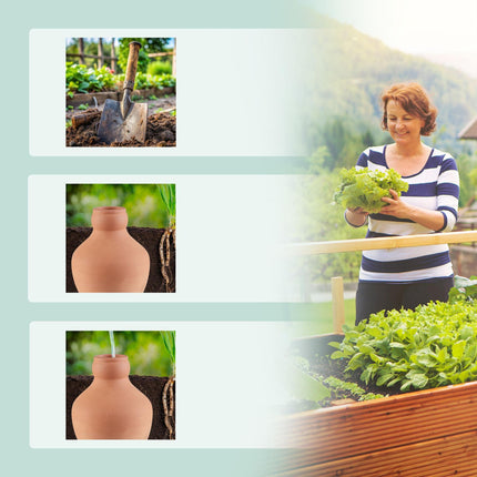 Ollas pour l'irrigation 550 ml, lot de 3