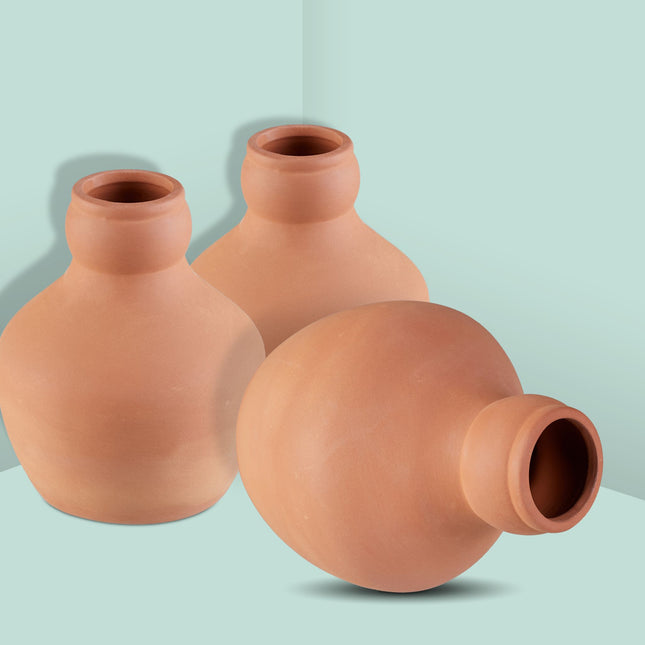 Ollas pour l'irrigation 550 ml, lot de 3