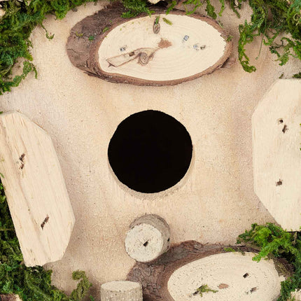 Zierkasten mit Moos