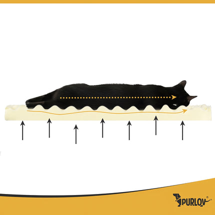 Coussin orthopédique pour animaux de compagnie, petit modèle, en mousse, antidérapant, housse lavable