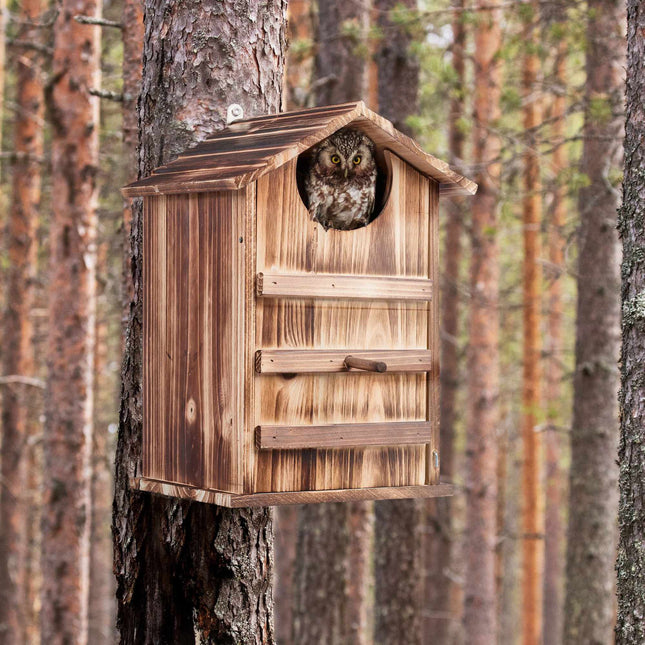 Nichoir à hiboux en bois
