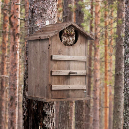 Eulennistkasten Holz