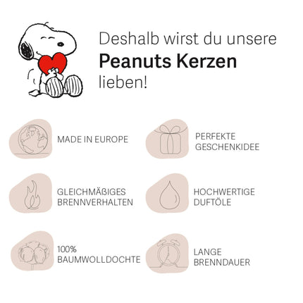 Bougie parfumée aux cacahuètes - Pot en verre, prête à offrir