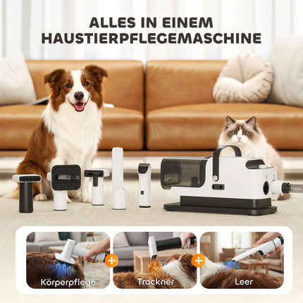 Séchoir et tondeuse pour le toilettage des animaux, moteur silencieux, outil 5 en 1