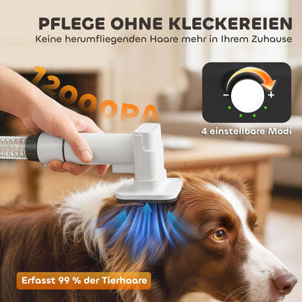 Séchoir et tondeuse pour le toilettage des animaux, moteur silencieux, outil 5 en 1