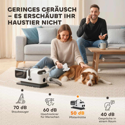 Séchoir et tondeuse pour le toilettage des animaux, moteur silencieux, outil 5 en 1