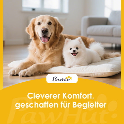 Caisse de transport pour chats et chiens de petite taille jusqu'à 4 kg